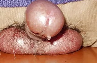 XXX مرد عکس کیرو کس متحرک ریش دار سبزه را در جوراب fucks می کند