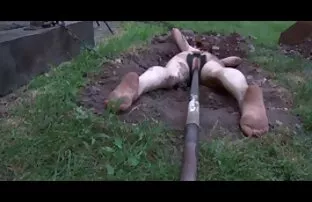 XXX پورنو زیبا عکس کیر تو کوس تنگ با بلوند جذاب