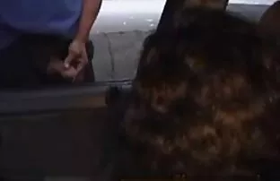 XXX در حالی که روی یک پسر عضلانی است ، یک سبزه زیبا با صدای بلند عکس متحرک کیرخوردن ناله می کند