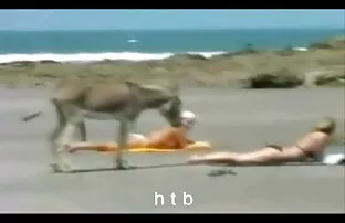 XXX دیک بین عکس کس و کیر خفن مشاعره بزرگ