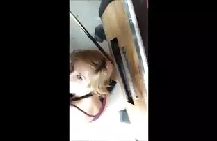 XXX دختر در شکاف نشسته بود و کیرکوس متحرک از سبزه کانیلینگ دریافت می کرد